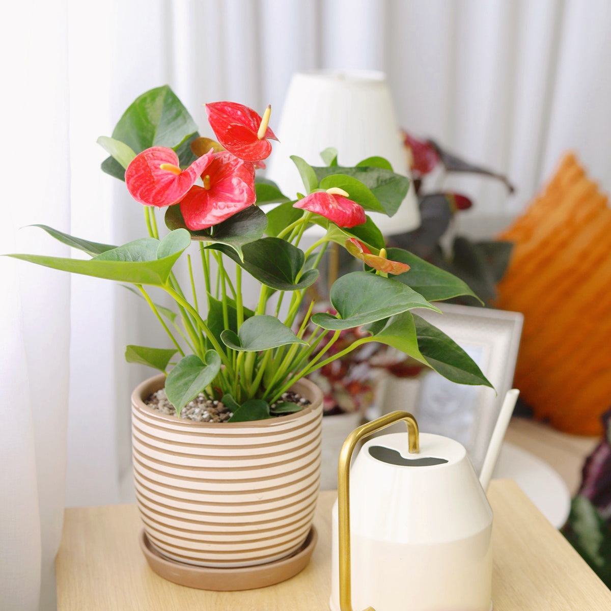 Clay White Stripes Pattern Pot