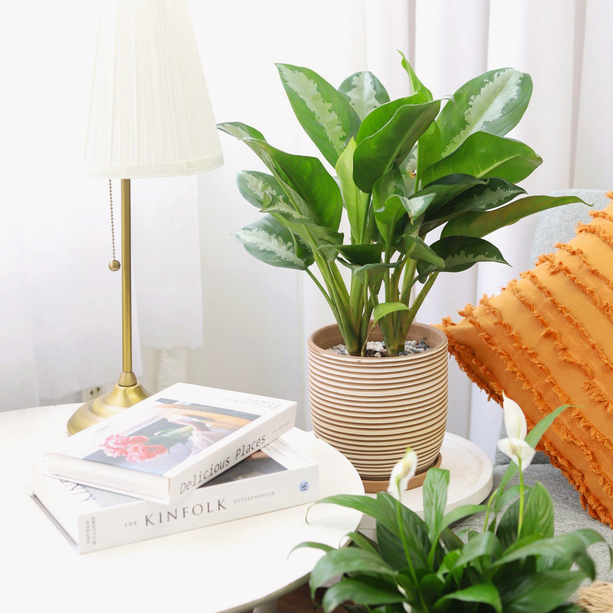Clay White Stripes Pattern Pot