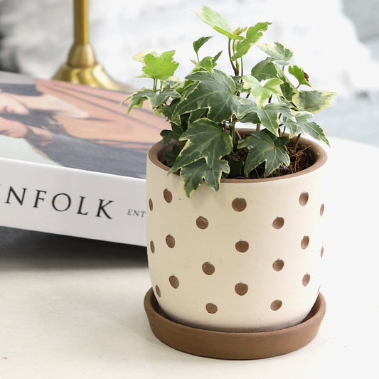 Clay White Polka Dot Pattern Pot