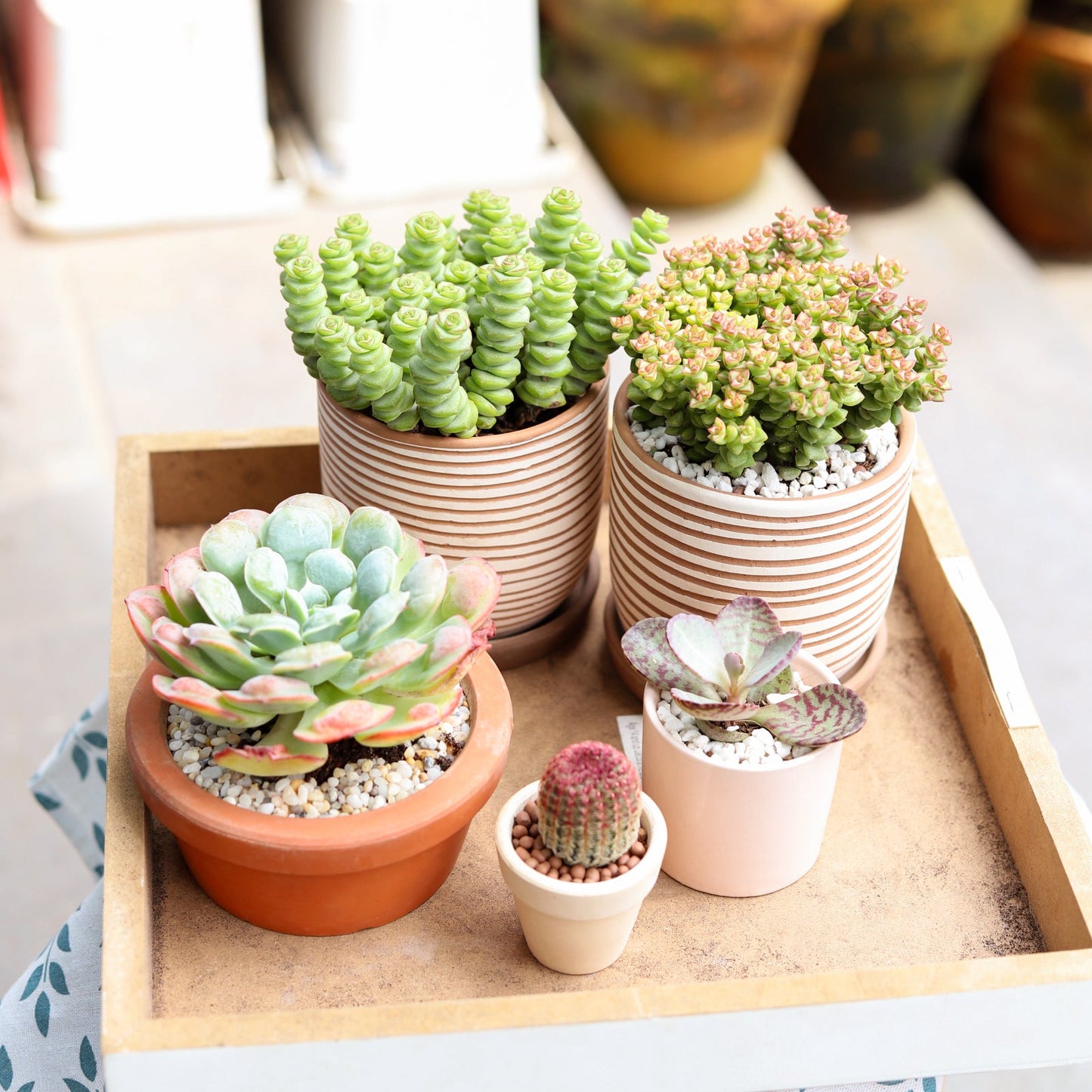 Clay White Stripes Pattern Pot