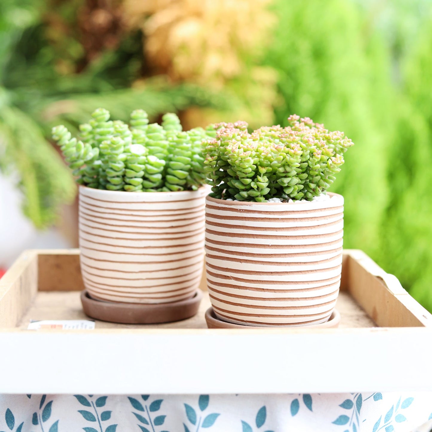 Clay White Stripes Pattern Pot
