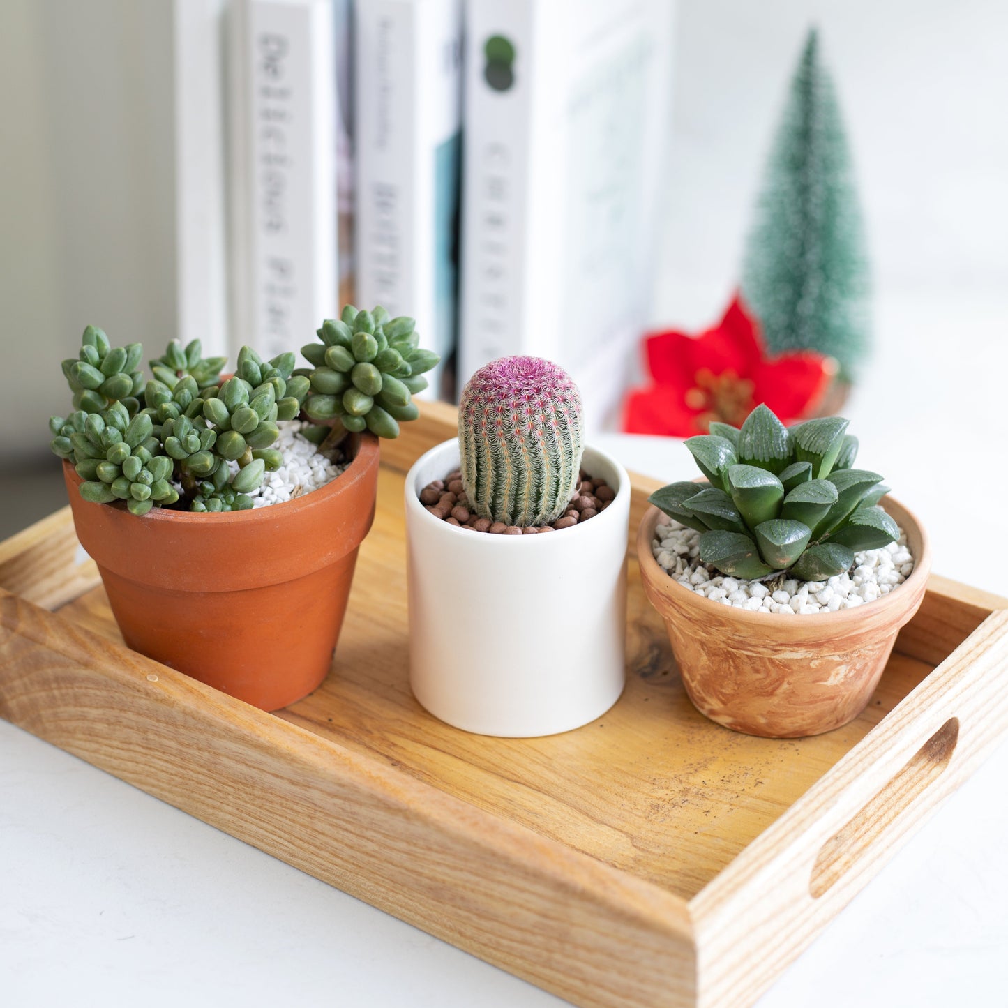 Modern Terracotta Deep Cylinder Pot