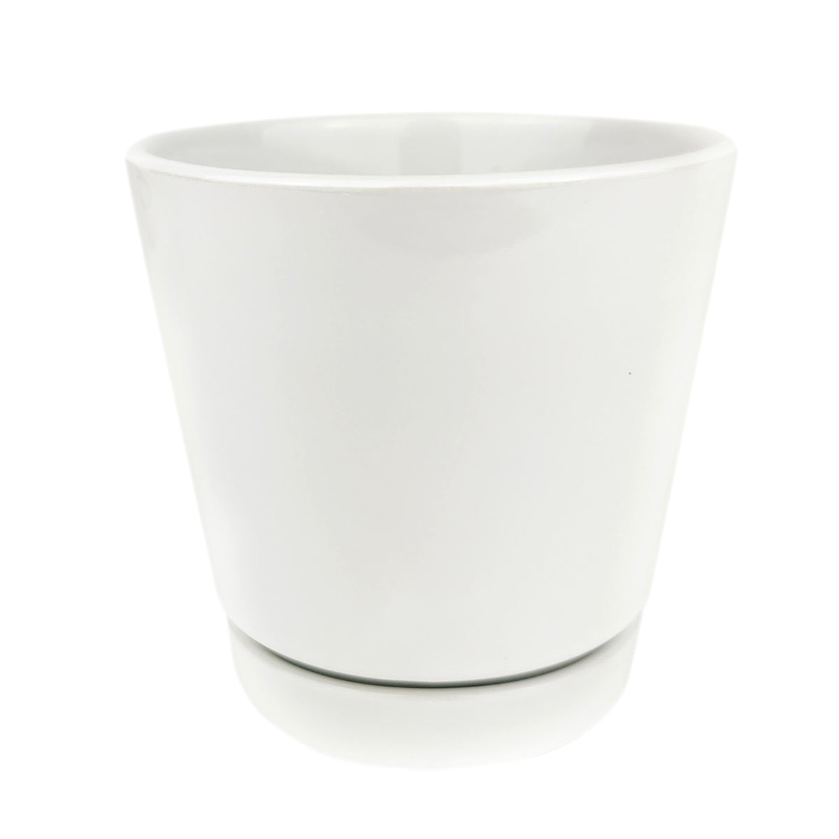 Pack of 3, 6 inch White Minimalist Pot with Saucer