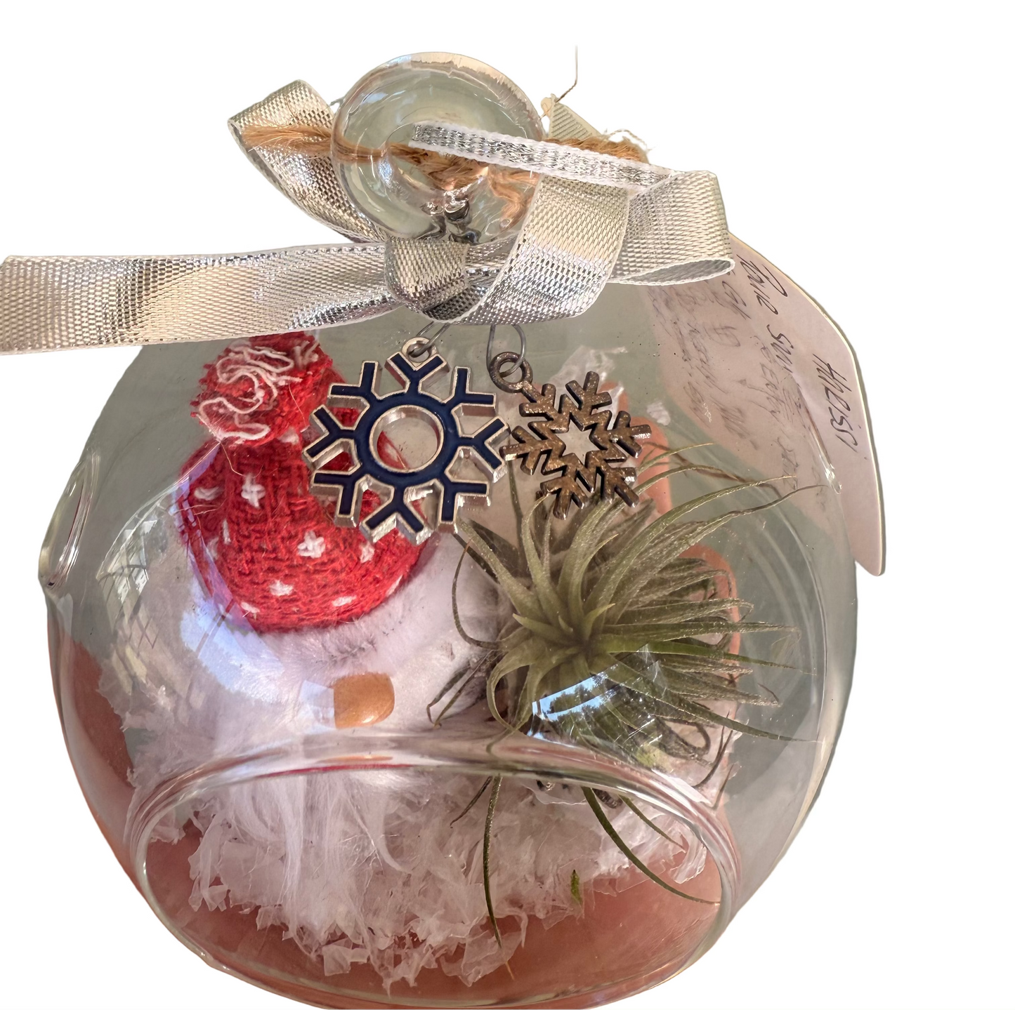 Christmas Air Plant Globe - Gnome Variety - Air Plant Christmas Decoration - Christmas Tree Ornament - Live Air Plant - Ionantha Air Plant - Christmas Gifts For Her - Plant Lover Christmas Gift - Holiday Terrarium Décor
