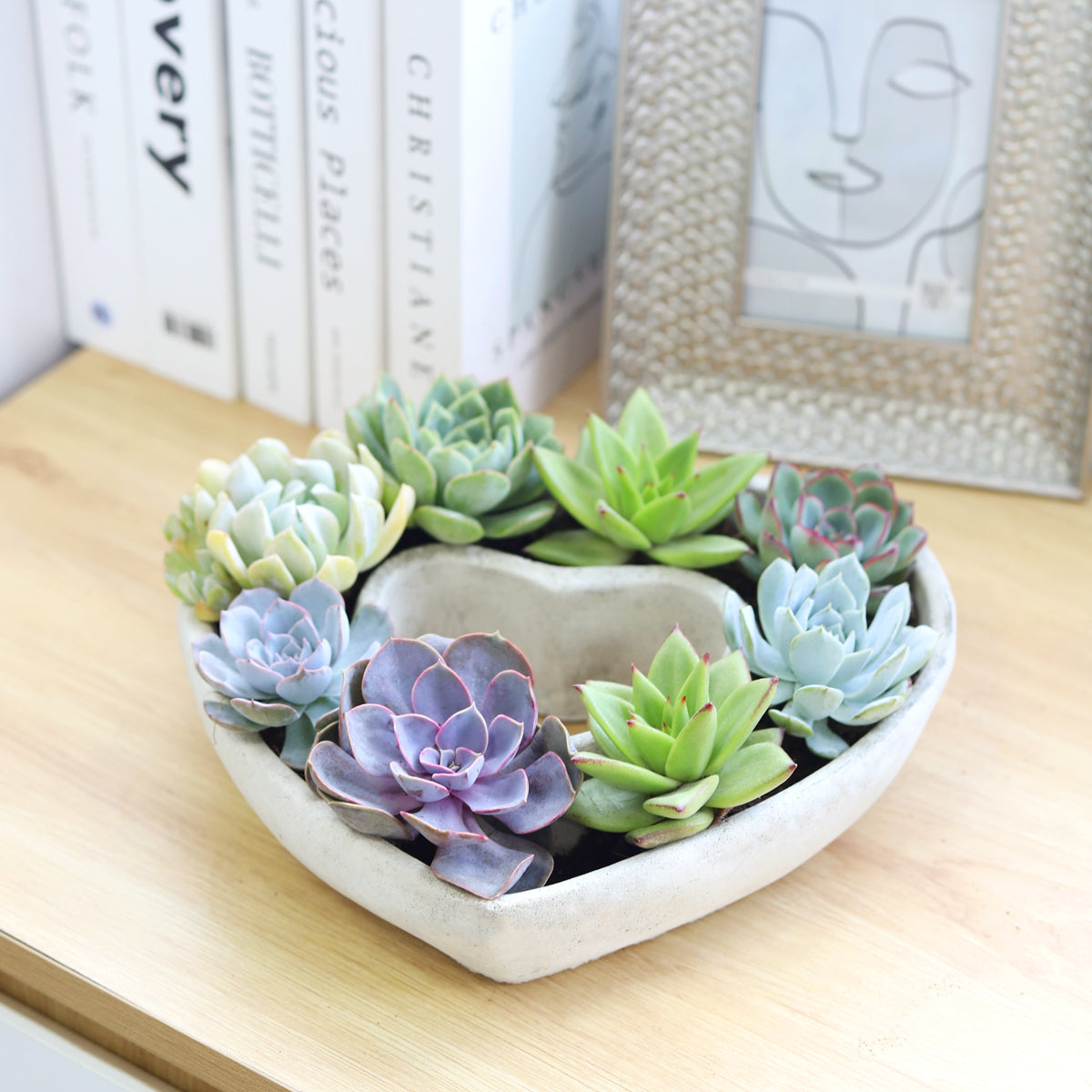 large succulent indoor plants Large Succulent Heart Arrangement – Lovehopegrow