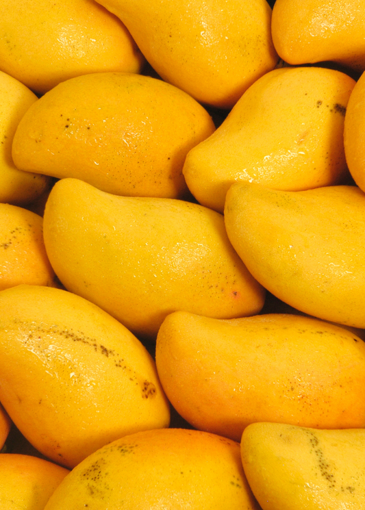 Mango 'Miracle' aka 'Choc-anon' (Mangifera indica)
