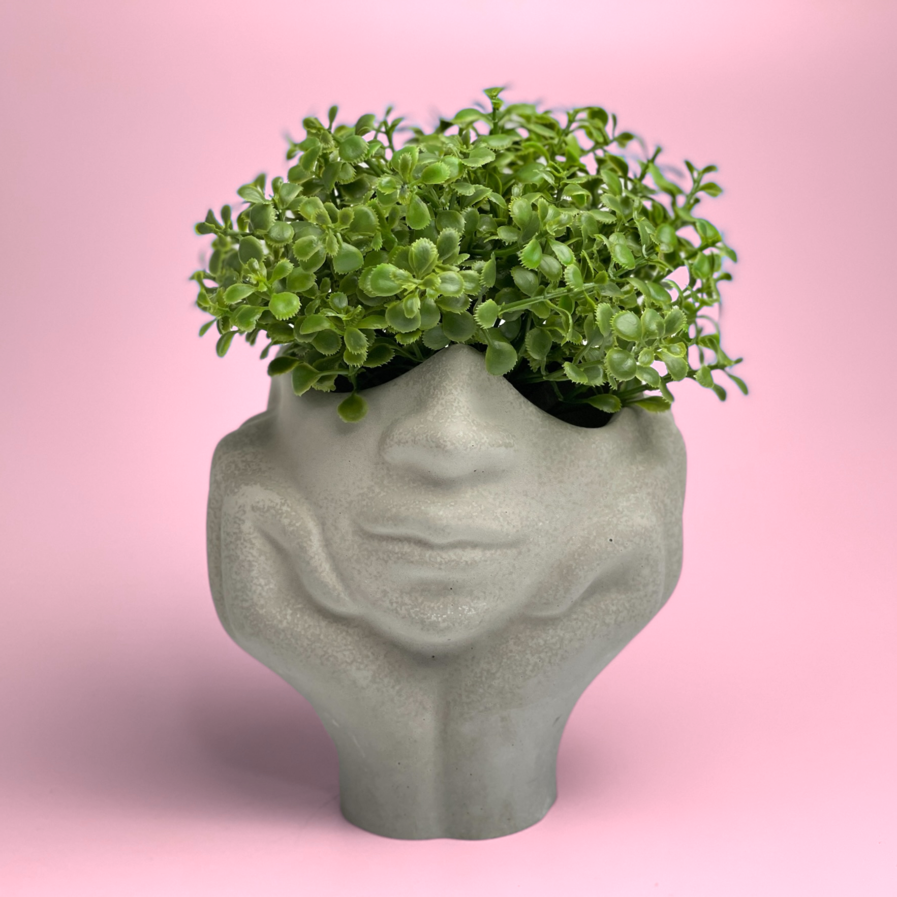 face succulent planter Face Succulent Planter on Two Hands – Lovehopegrow
