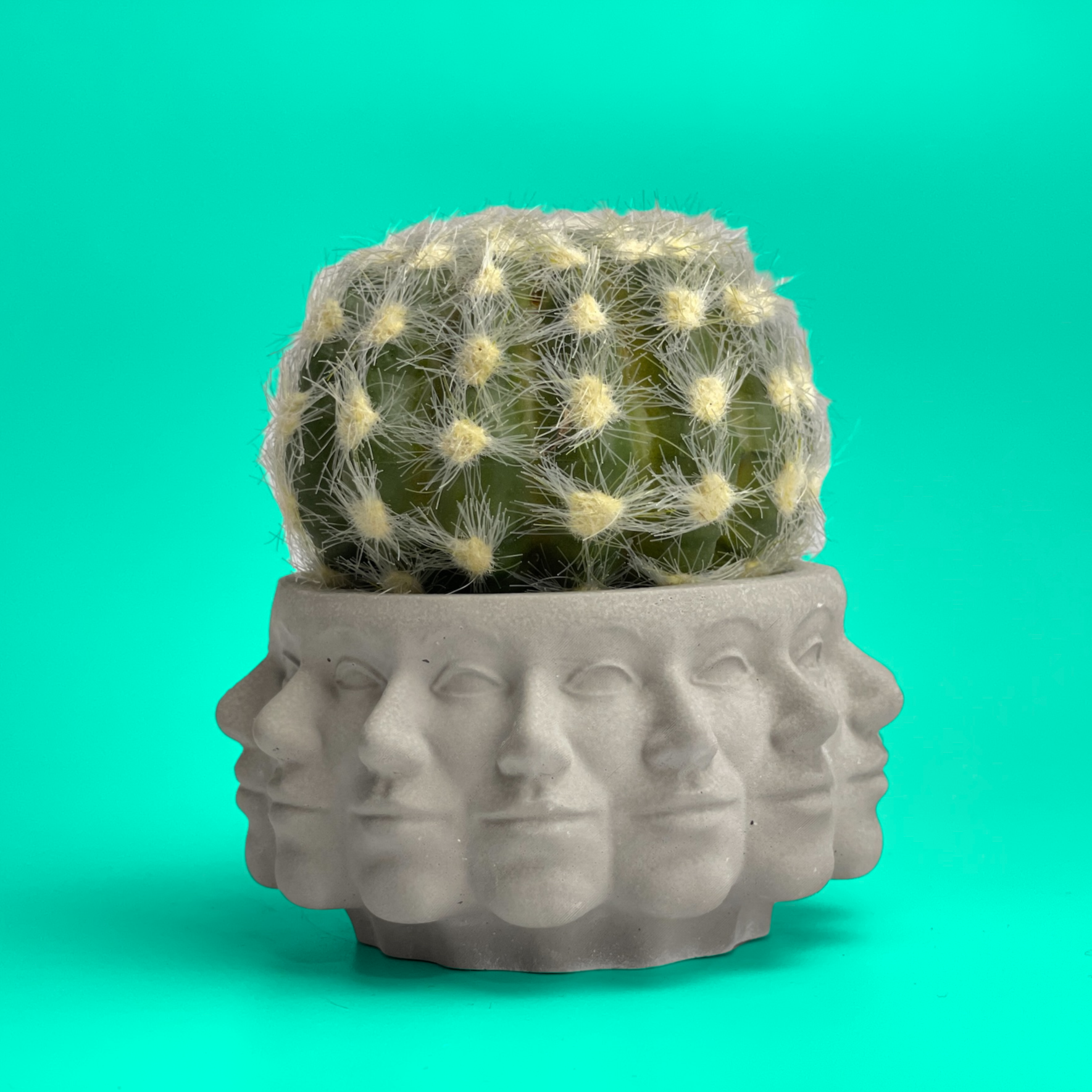 multi succulent pot Multi Face Succulent Planter – Lovehopegrow