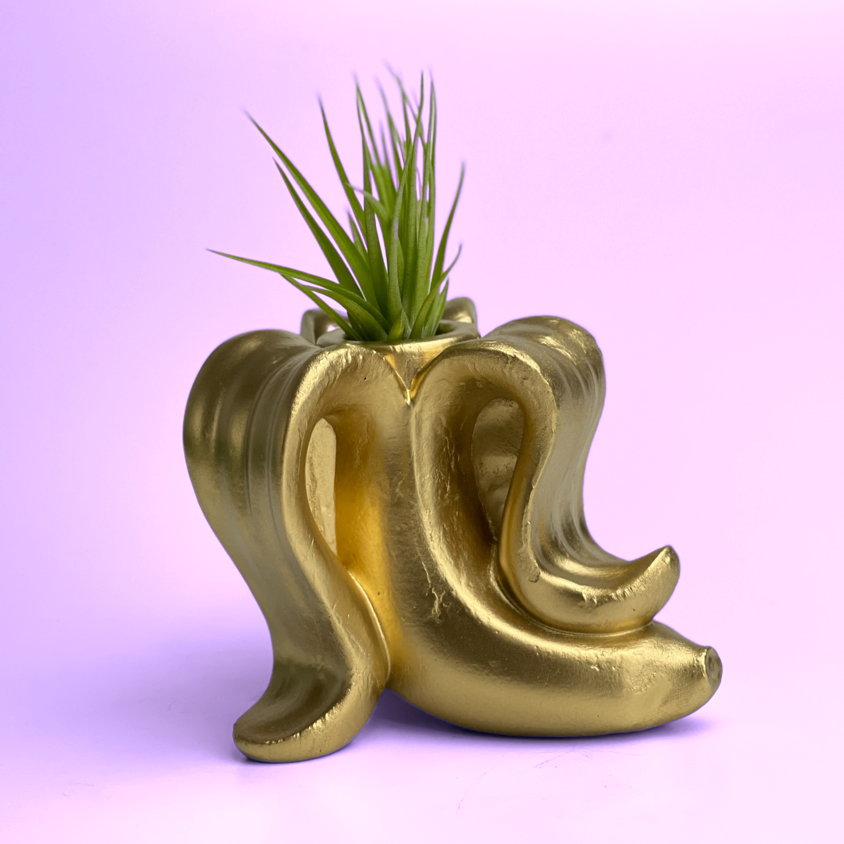 gold air plant holder Banana Air Plant Holder – Lovehopegrow