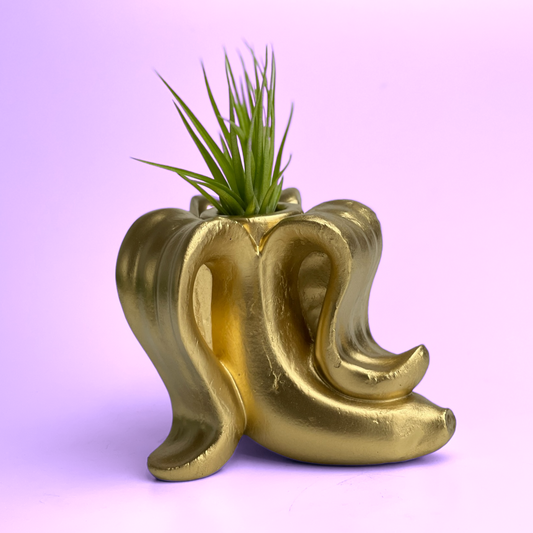 Banana Air Plant Holder