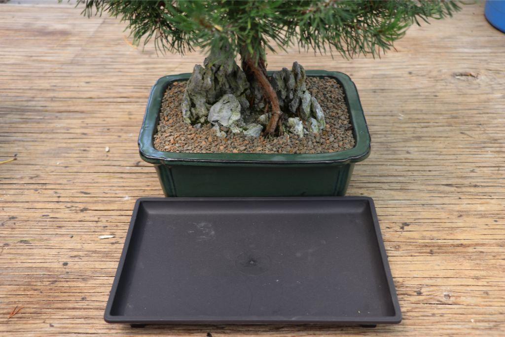 bonsai tree humidity tray Small Humidity Drip Tray