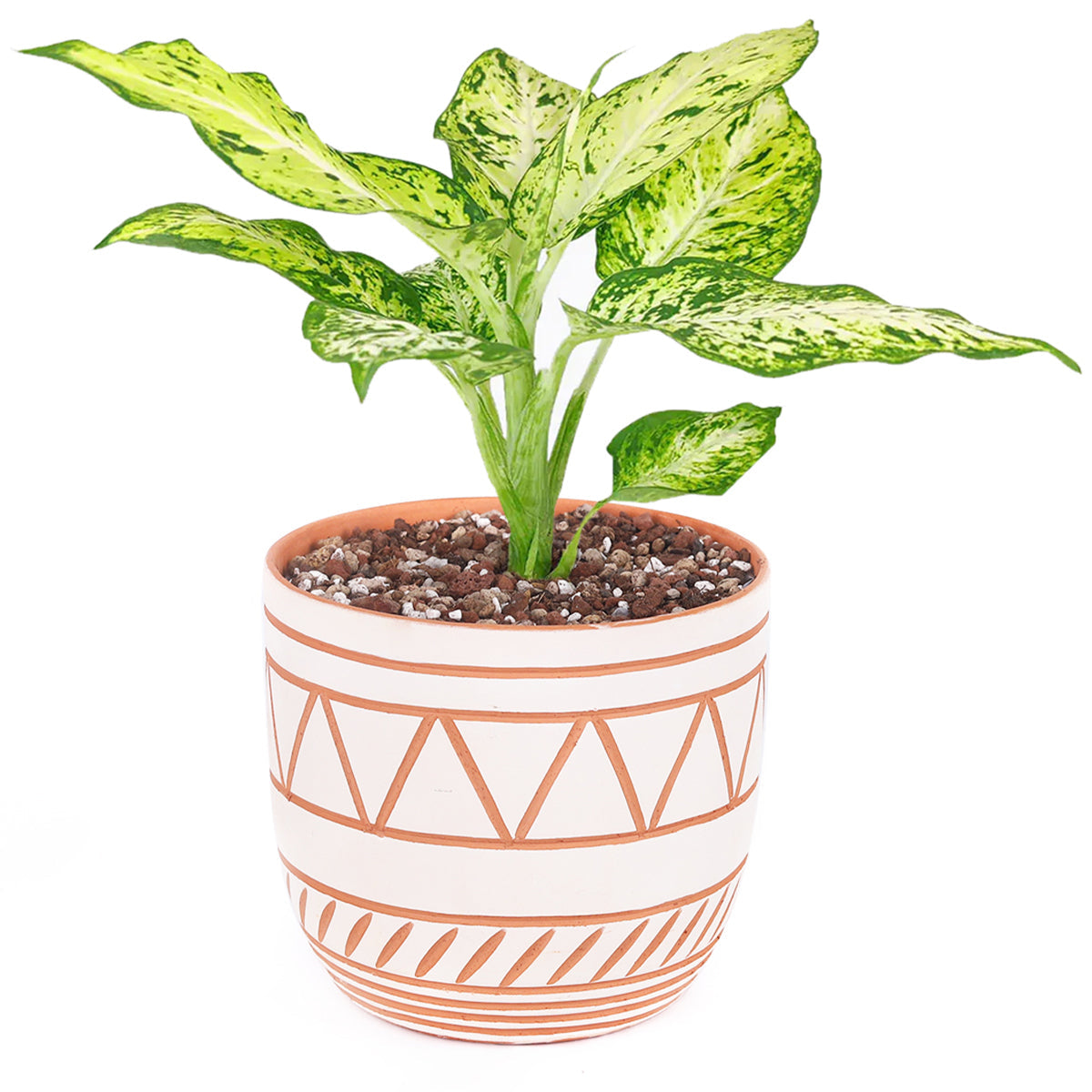 5.5 inch White-Clay Color Geometric Pattern Pot