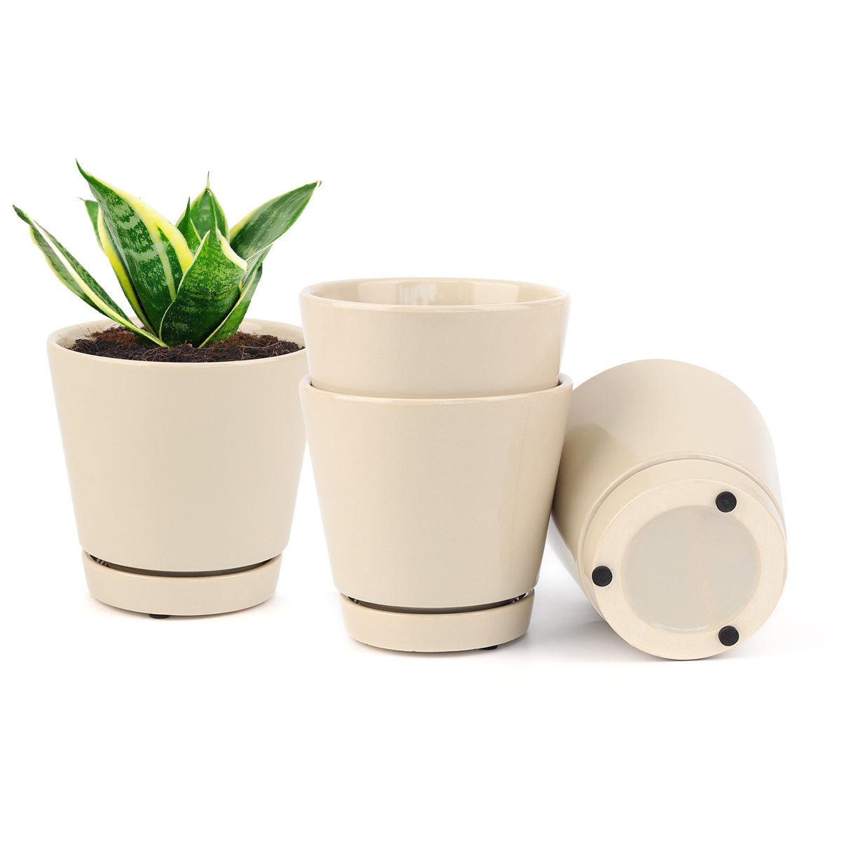 Pack of 3 Oatmeal Minimalist Ceramic Pots