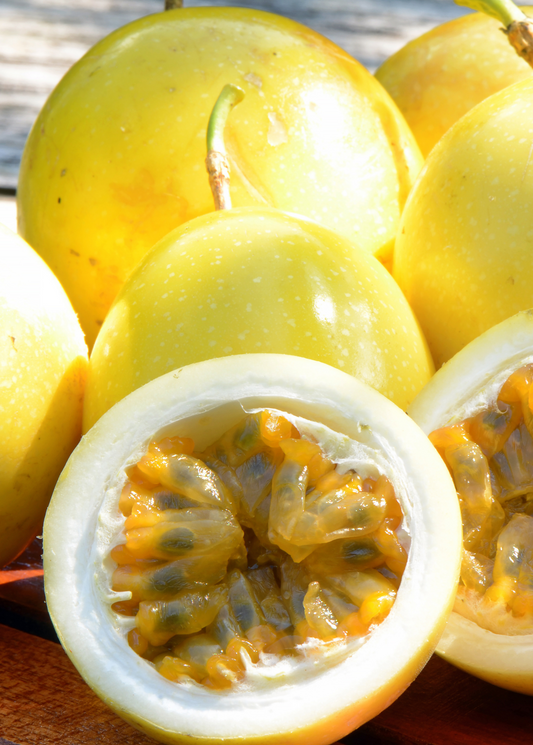 Passion Fruit 'Yellow’ (Passiflora edulis flavicarpa)
