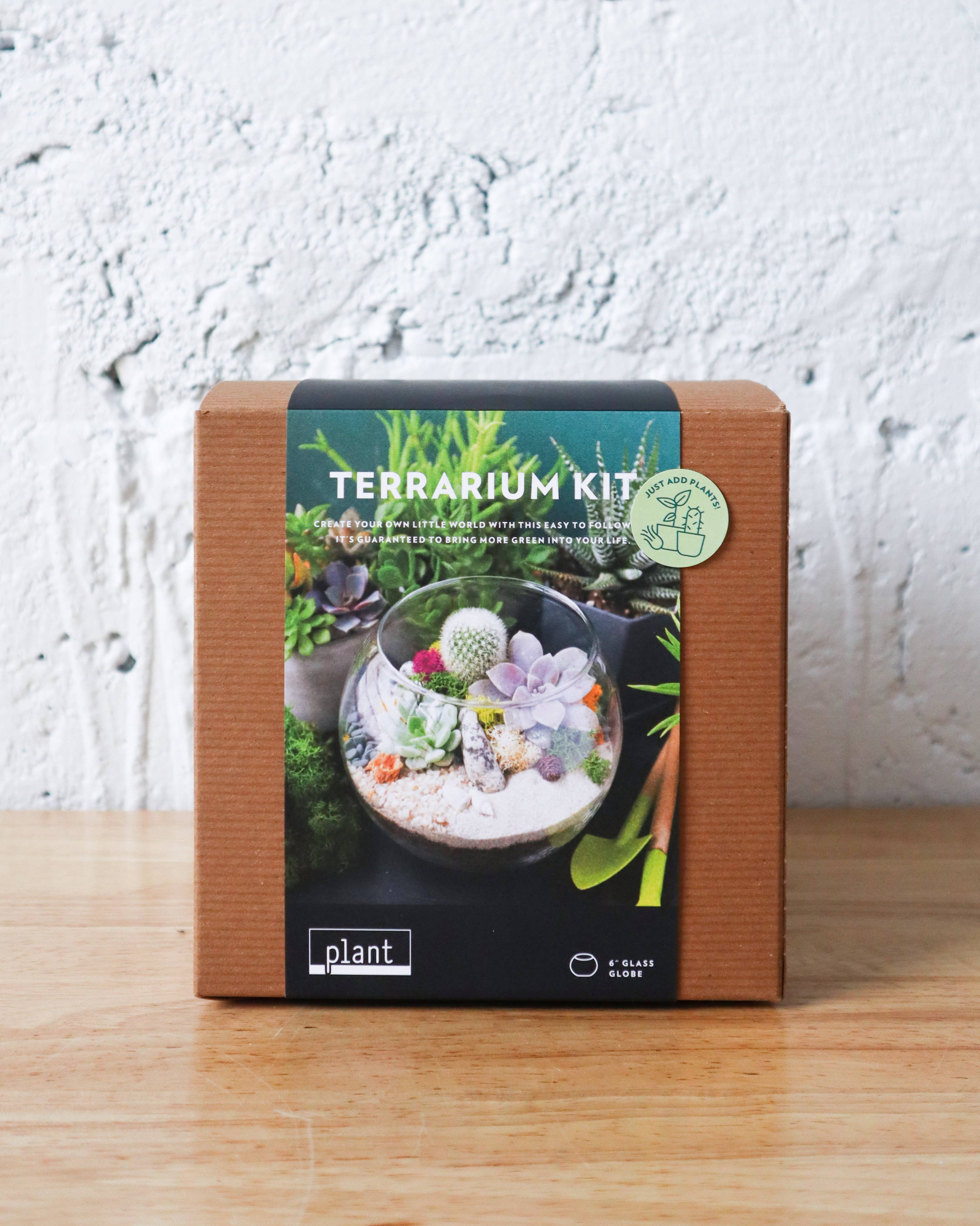 Terrarium Kit : Globe – Lovehopegrow