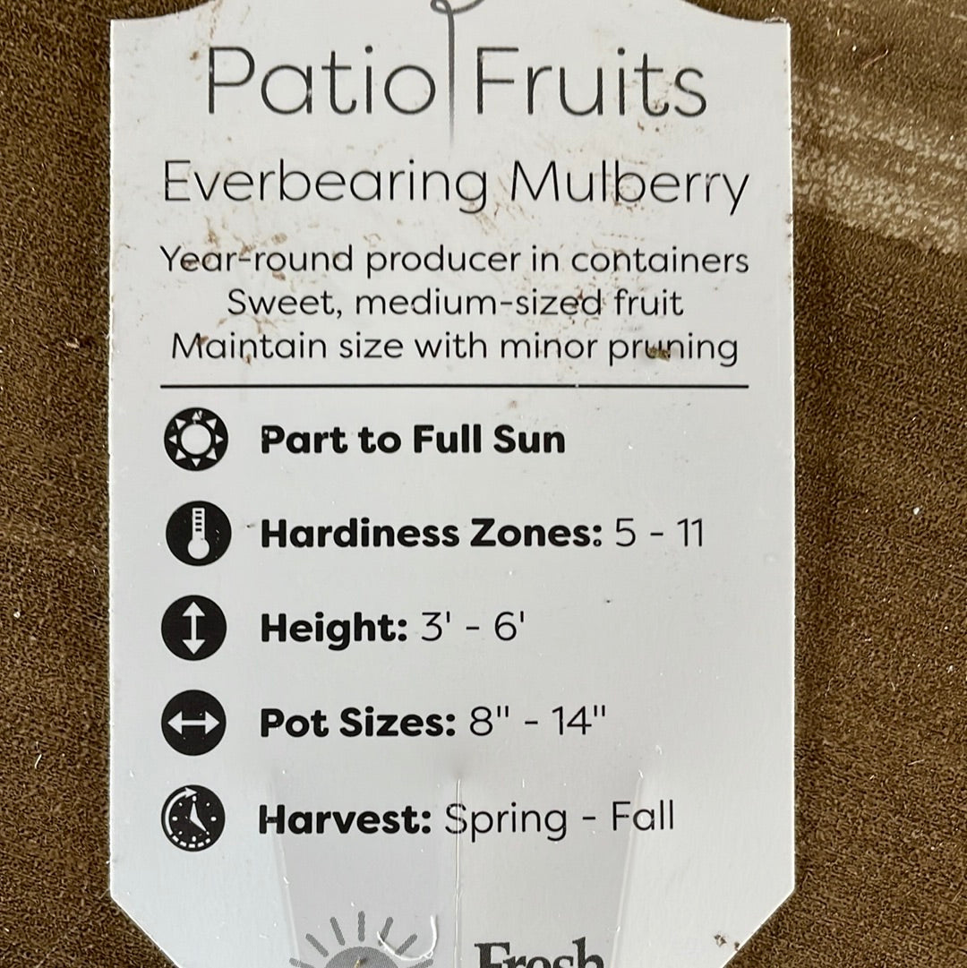 Patio Fruits 1