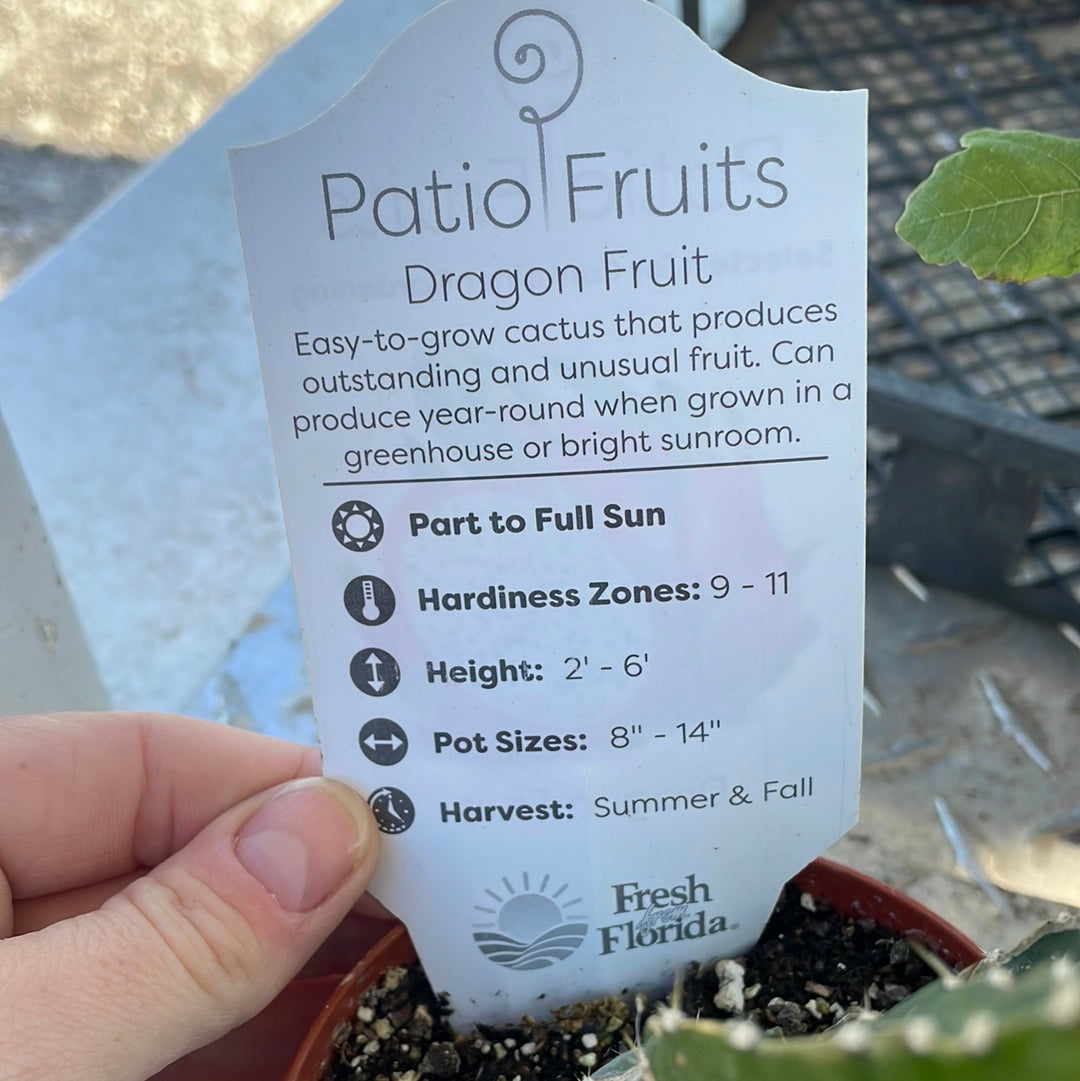 Patio Fruits 1