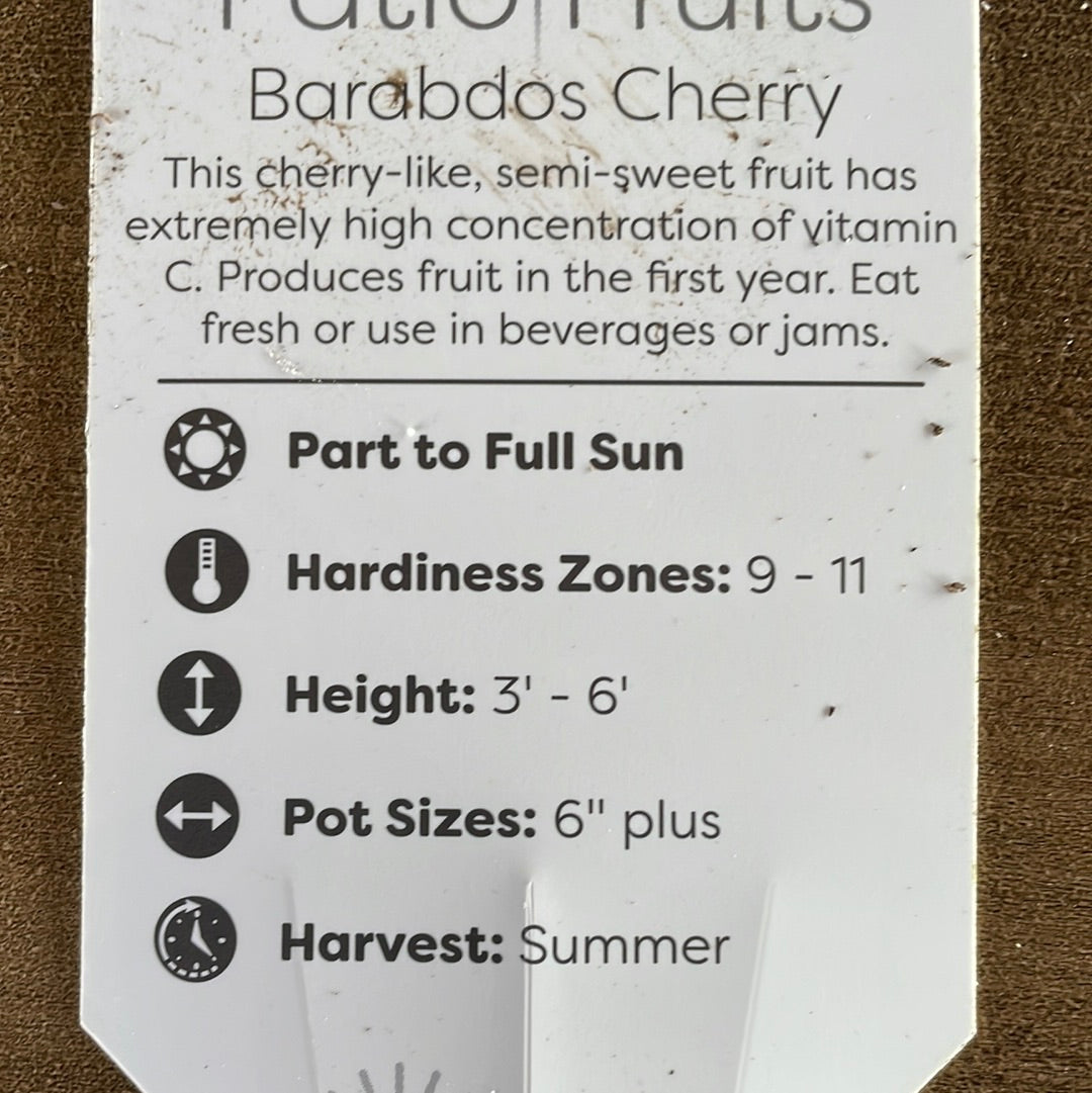 Patio Fruits 1