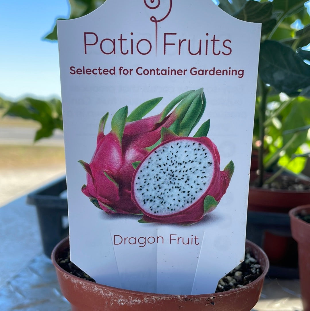 Patio Fruits 1