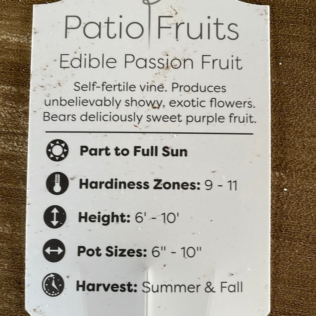 Patio Fruits 1
