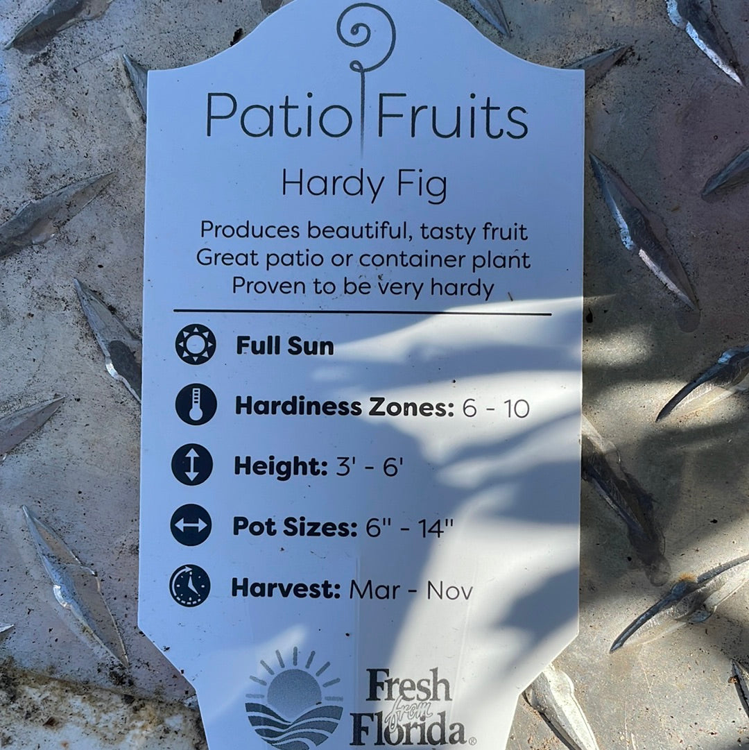 Patio Fruits 1