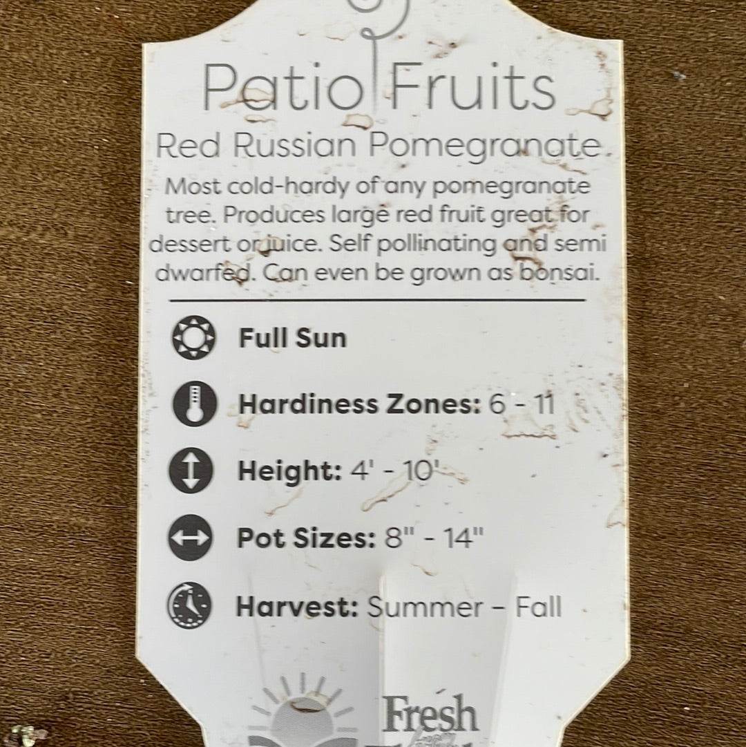 Patio Fruits 1