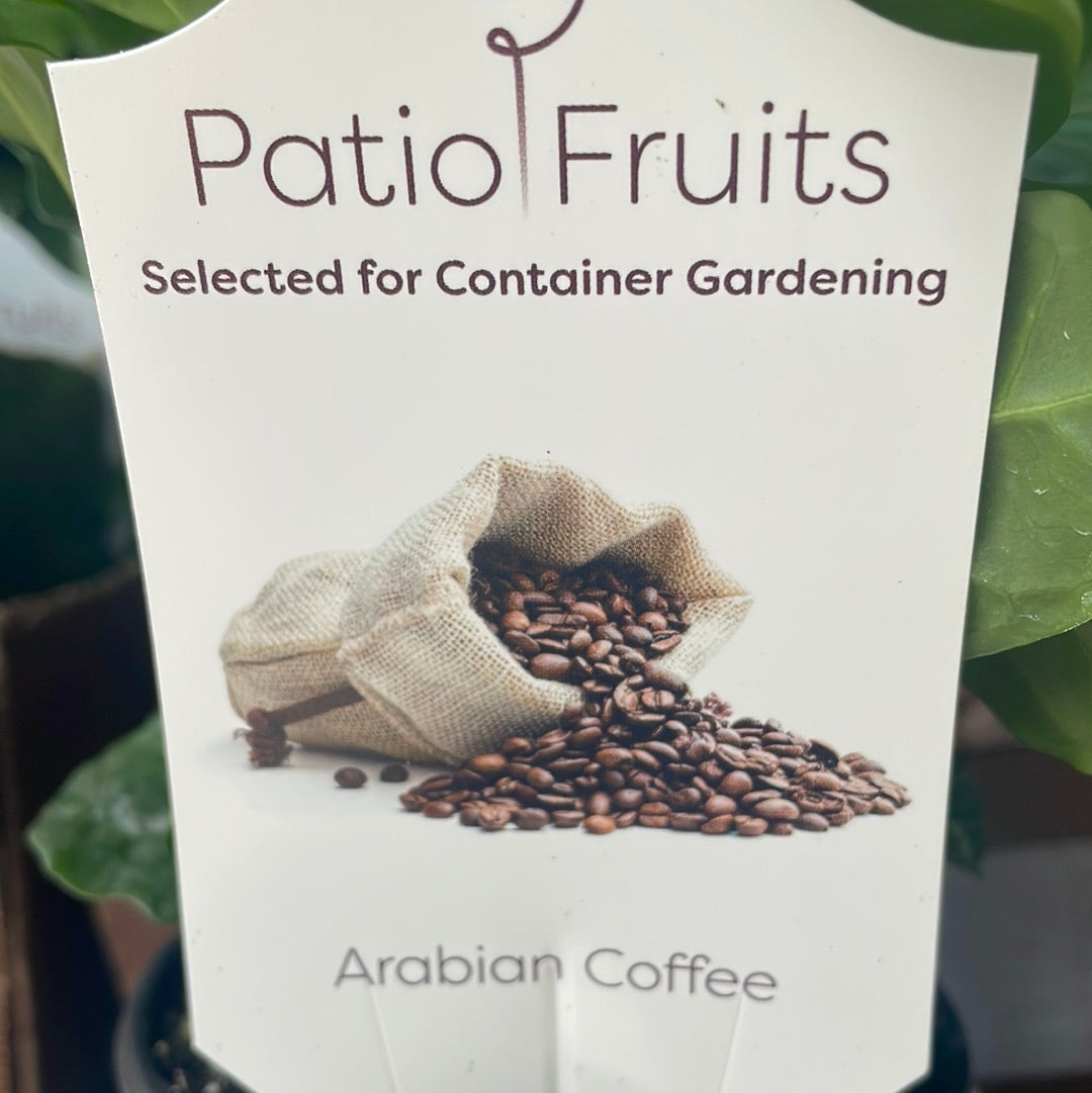 Patio Fruits 1