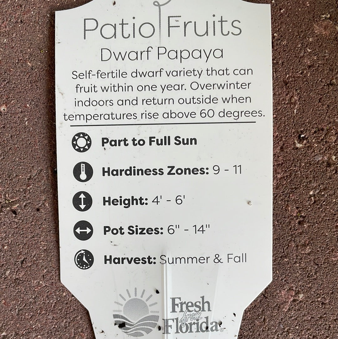 Patio Fruits 1