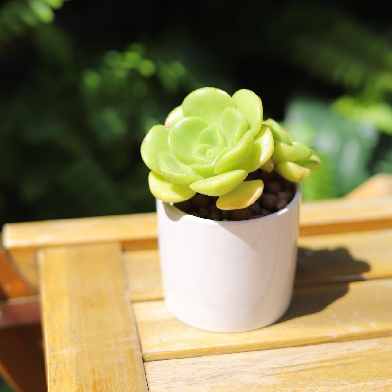 3 Pack Modern Cylinder Pots