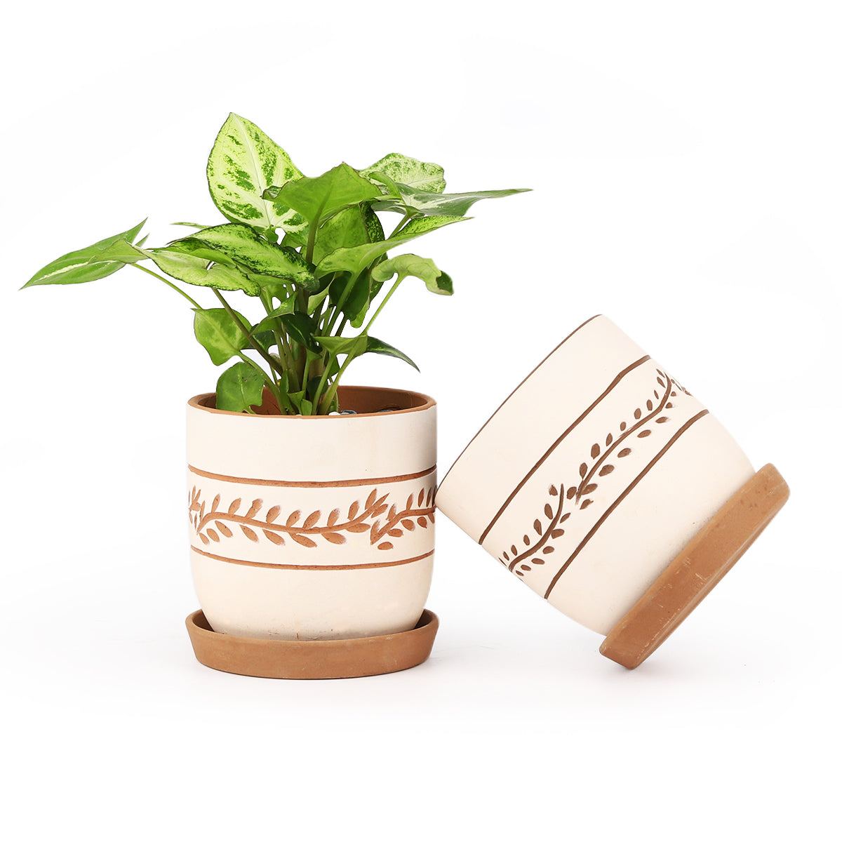 White Clay Horizontal Leaf Pattern Pot