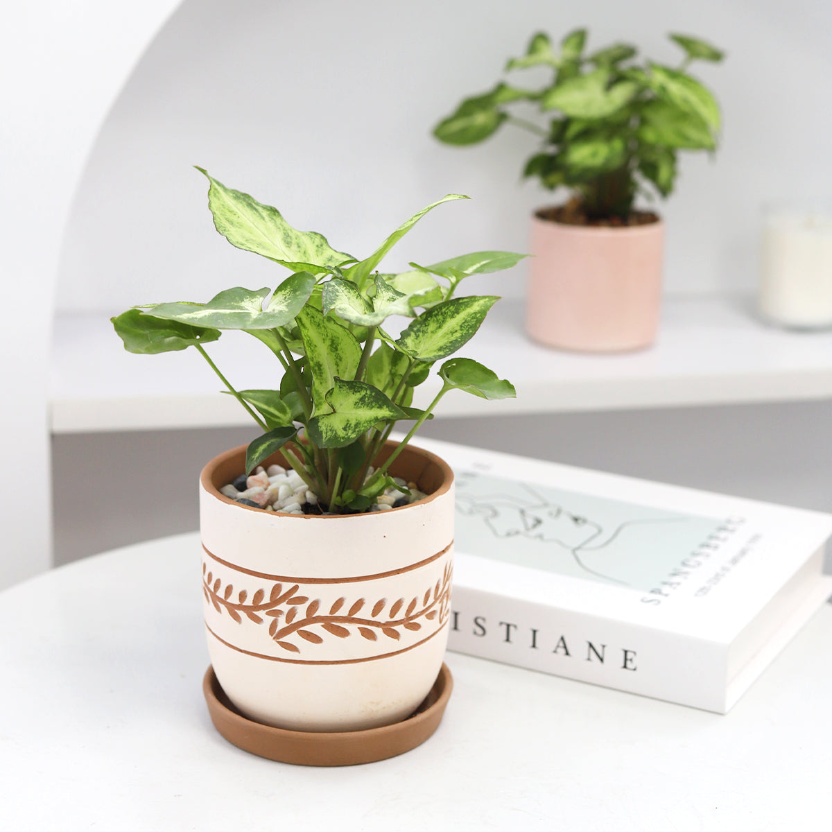 White Clay Horizontal Leaf Pattern Pot