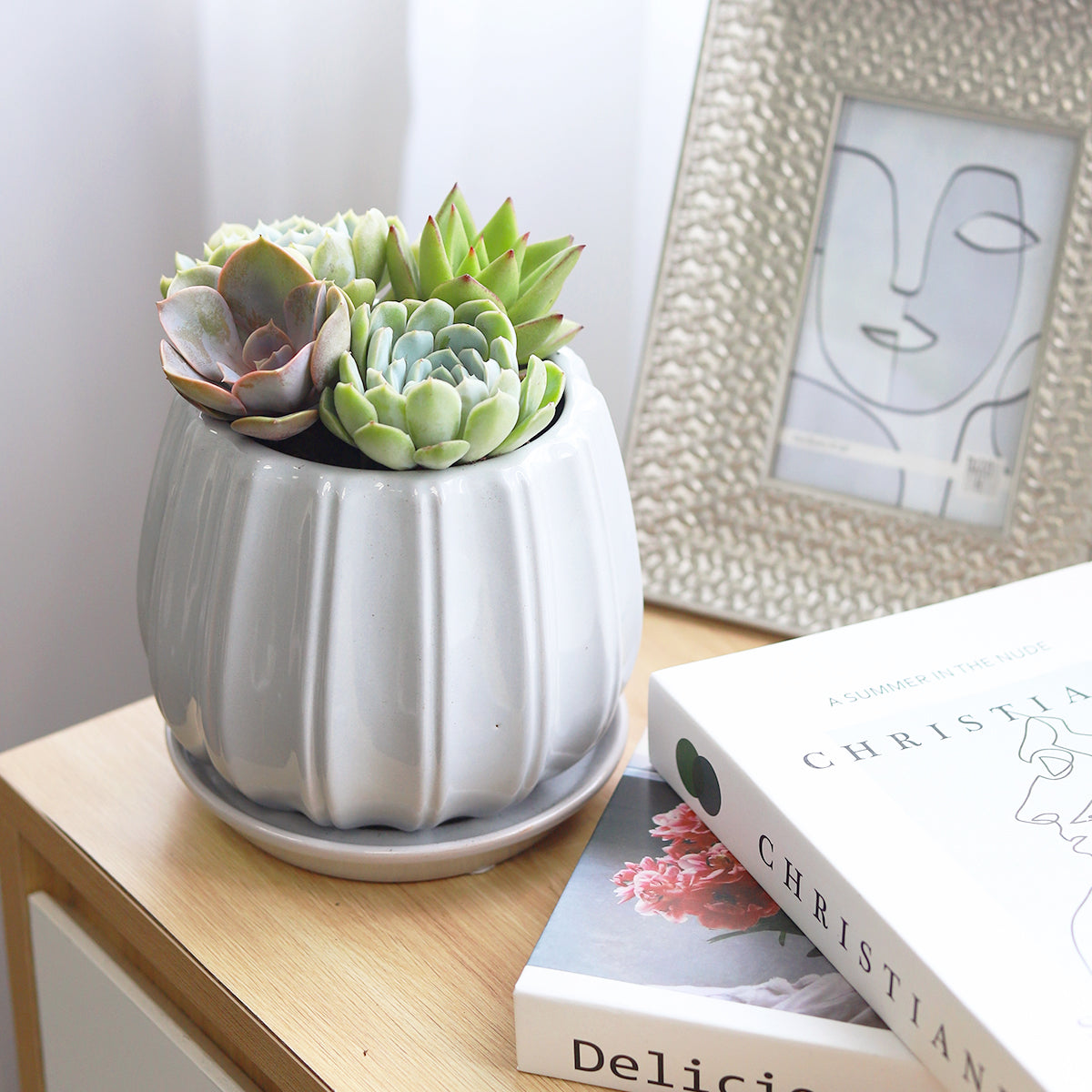 Succulent Arrangement in Grey Ceramic Contour Planter
