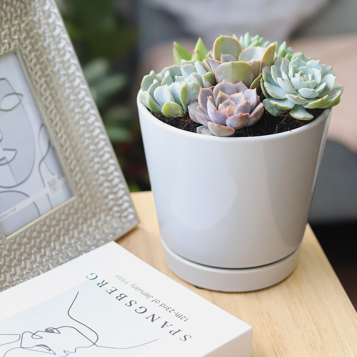 Succulent Arrangement in Grey Minimalist Planter