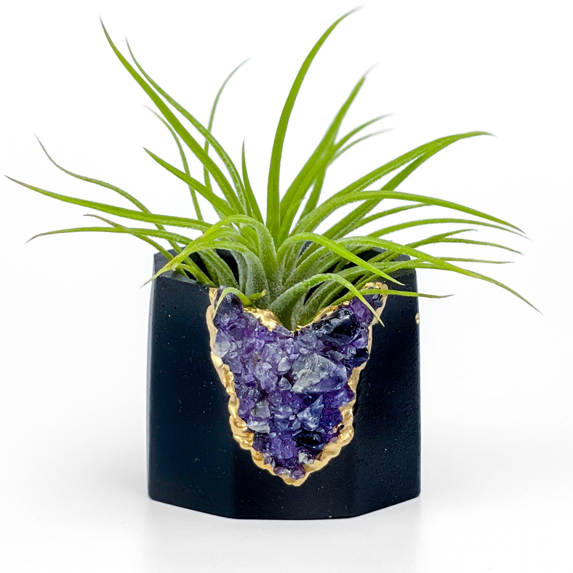 amethyst crystal air plant Black AMETHYST GEODE PLANTER – Lovehopegrow