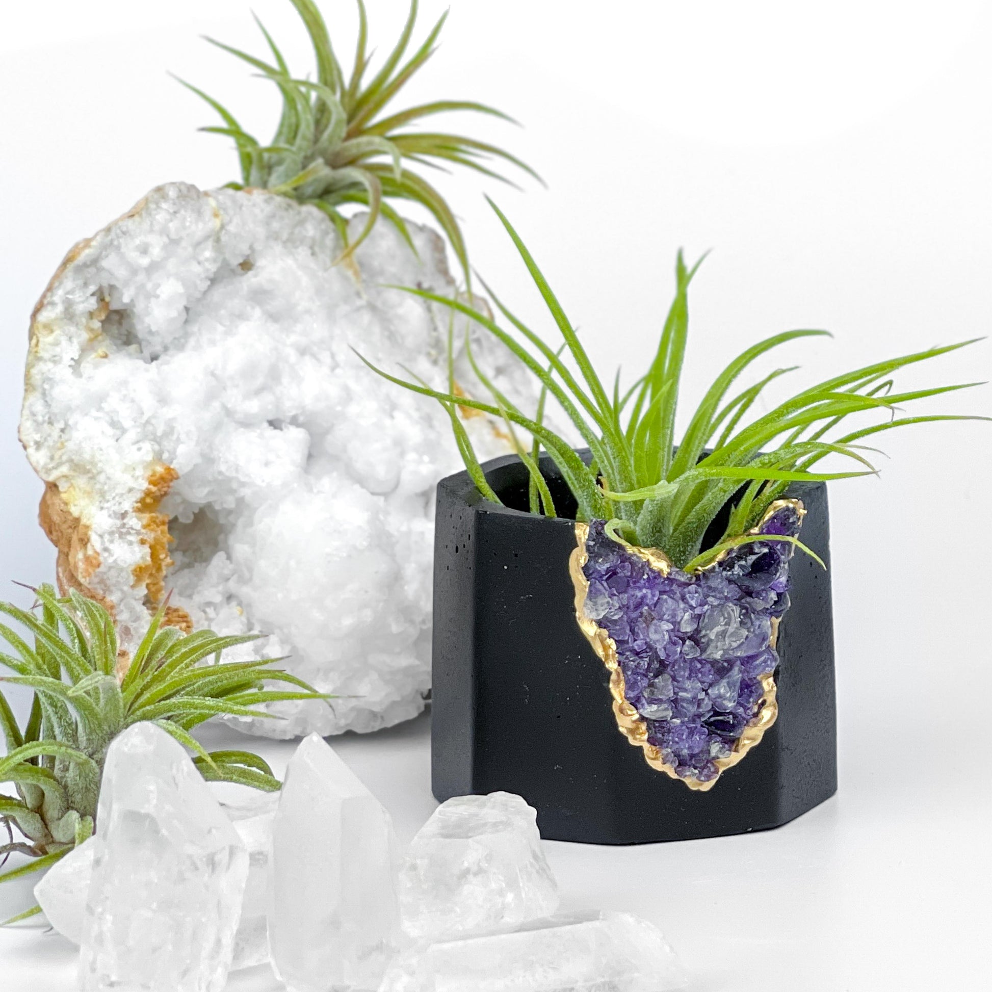 amethyst air plant Black AMETHYST GEODE PLANTER – Lovehopegrow