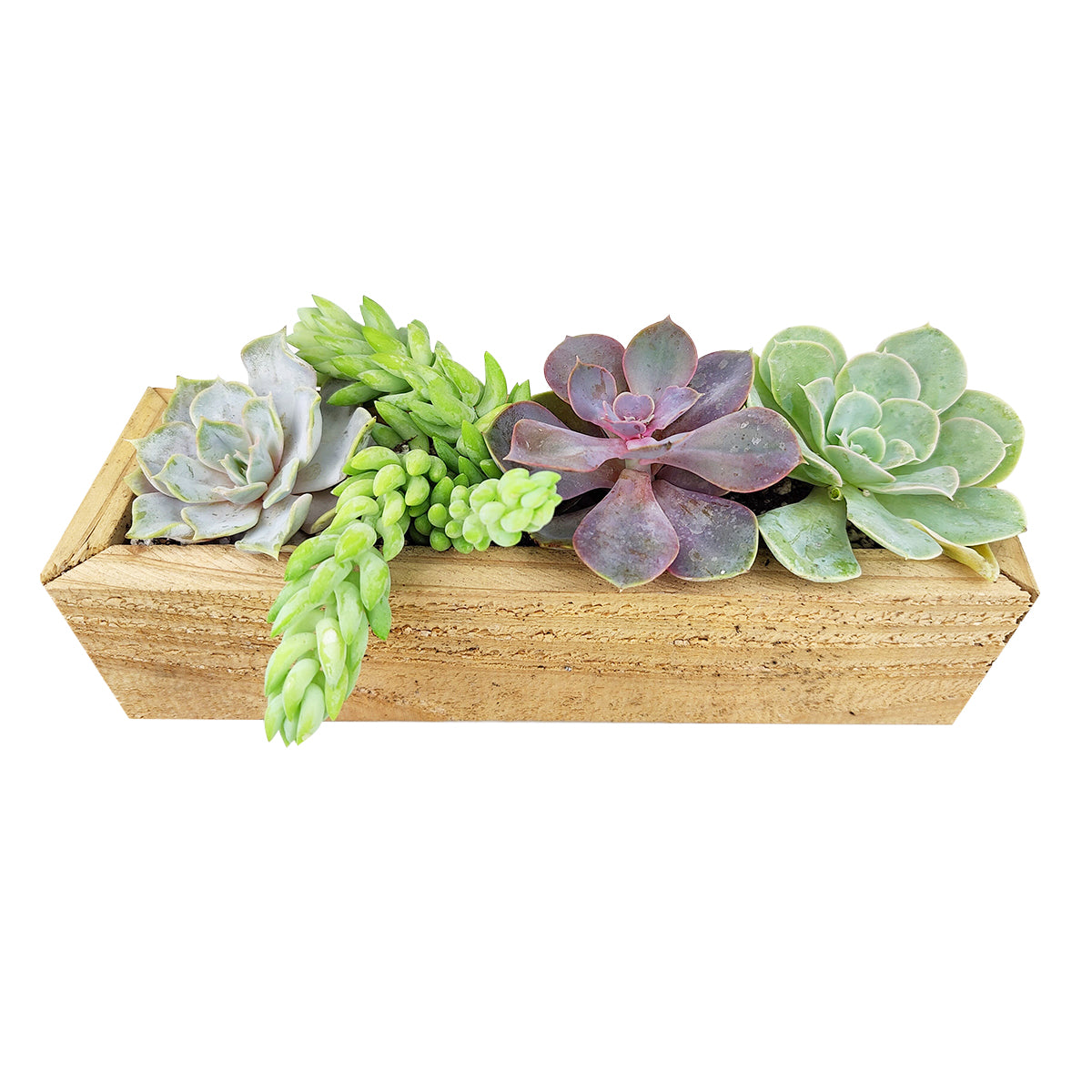 Succulent Arrangement Centerpiece Rectangle Wooden Planter