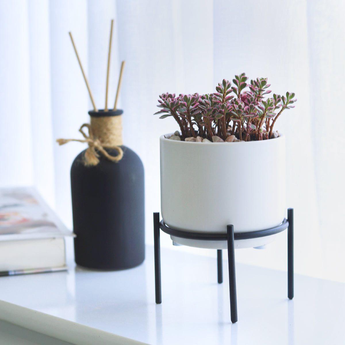 4 inch Solid White Ceramic Planter with Metal Stand