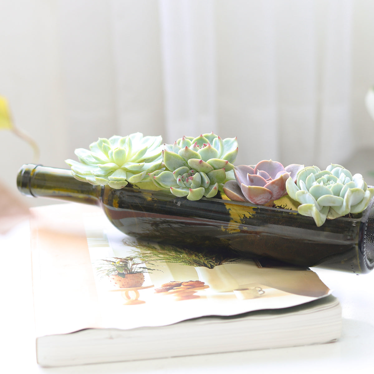 Succulent Wine Bottle Arrangement