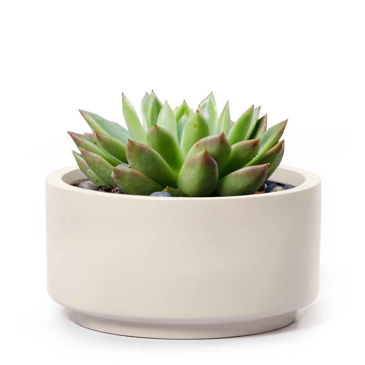 8.75 inch Gray Cream Fiberstone Ceramic Pot
