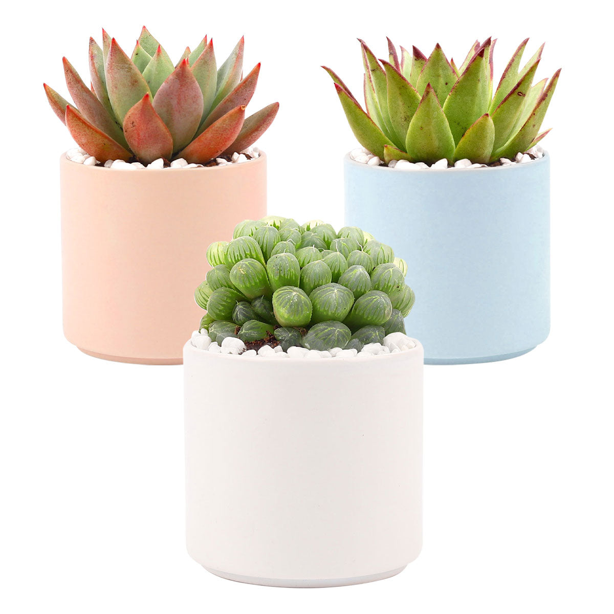 3 Pack Modern Cylinder Pots