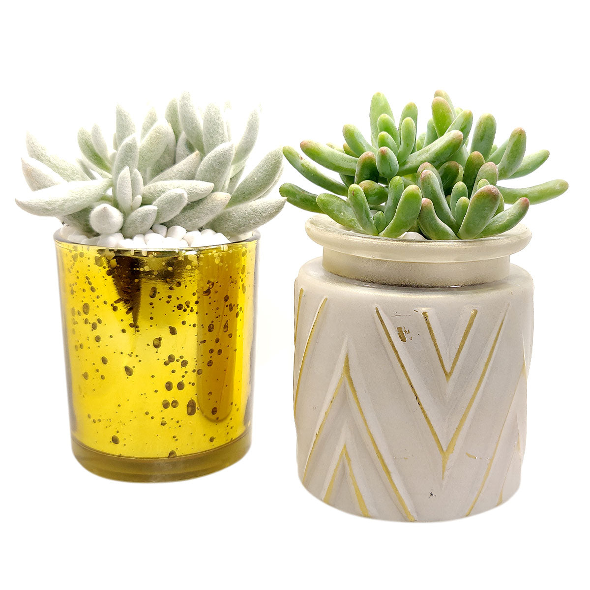 Gold Sparkly Pot