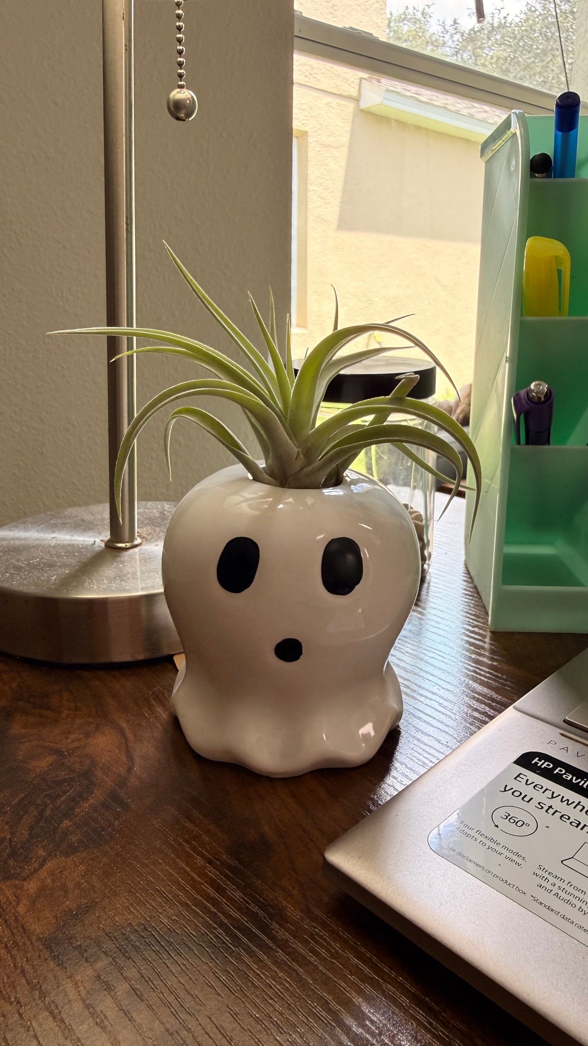 Halloween Ceramic Ghost Figure With Live Medium Air Plant - Office Decor - Fall Theme Plant Decor - Air Plant Holder - Halloween Decor - Medium Live Air Plant