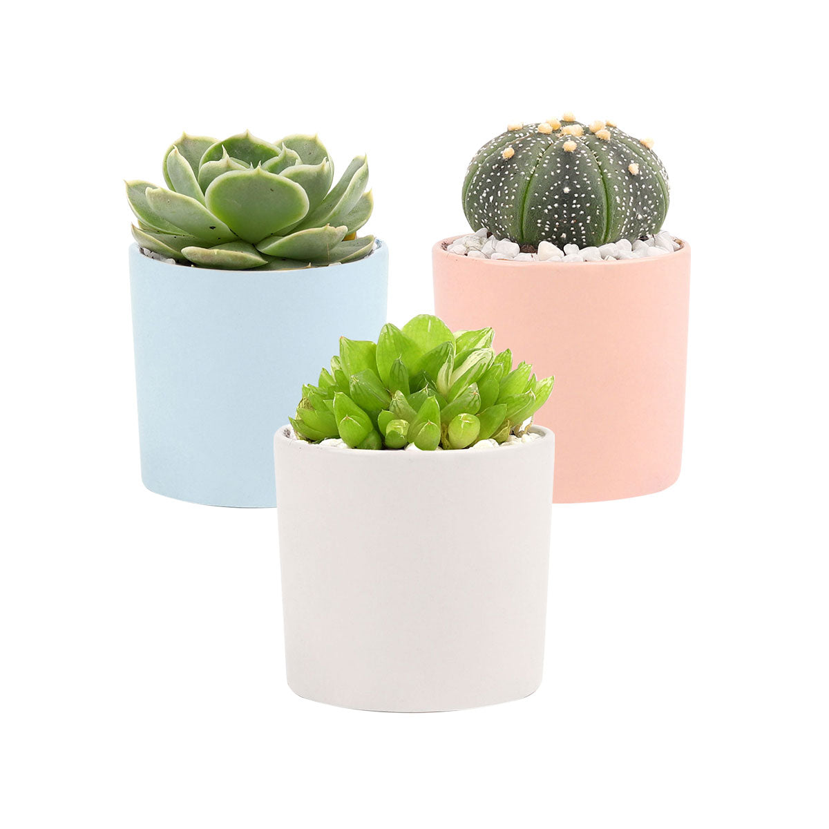 3 Pack Modern Cylinder Pots