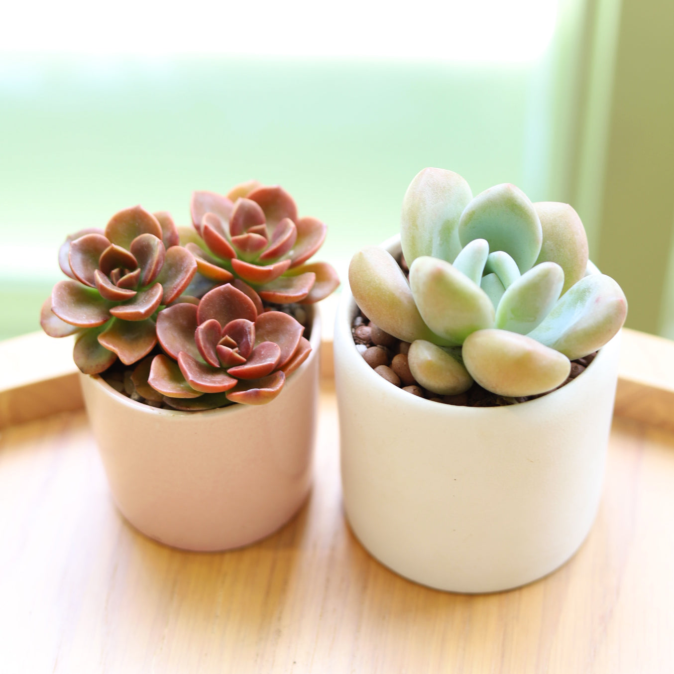 3 Pack Modern Cylinder Pots