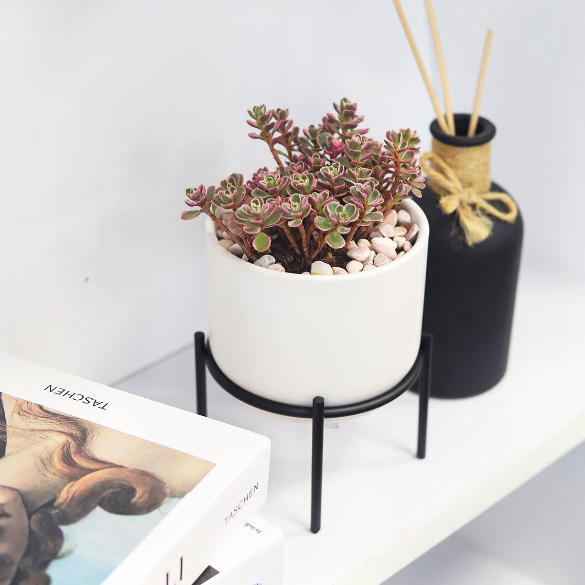 4 inch Solid White Ceramic Planter with Metal Stand