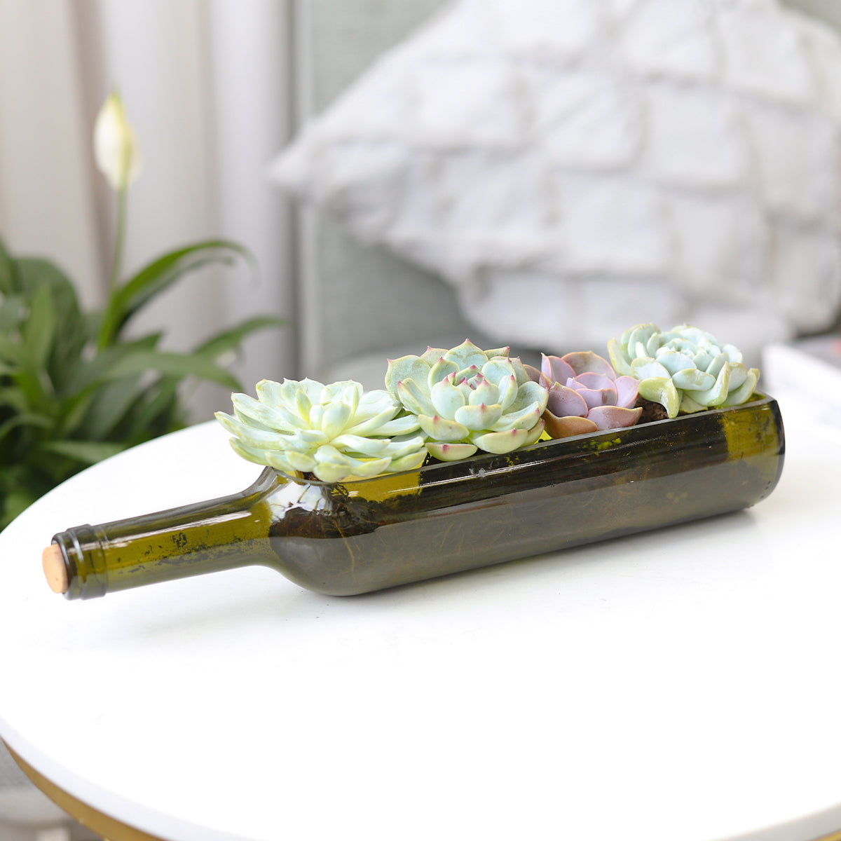 Succulent Wine Bottle Arrangement