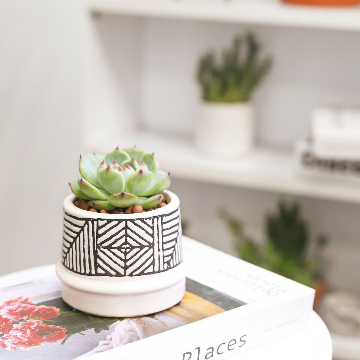 Tribal Pot
