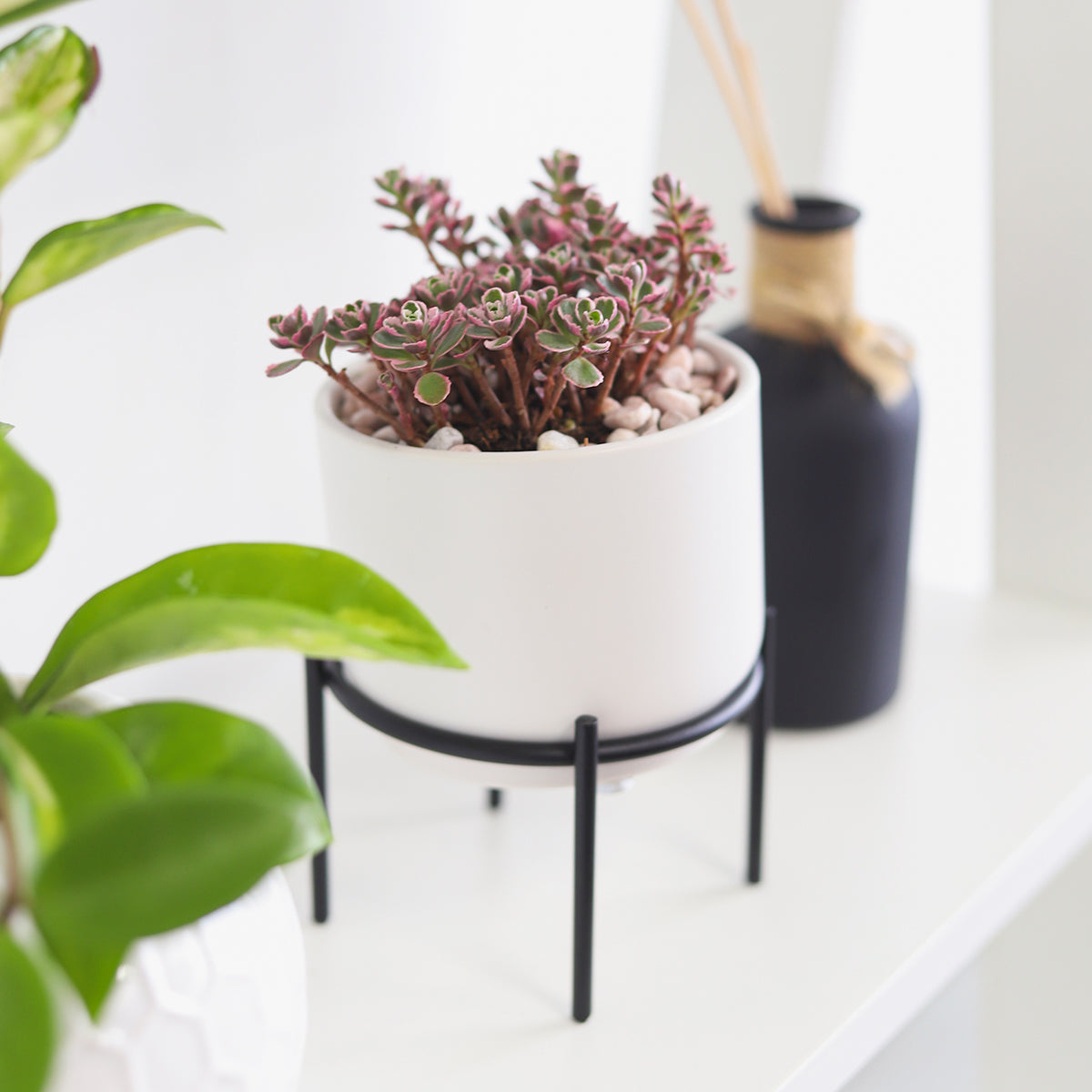 4 inch Solid White Ceramic Planter with Metal Stand