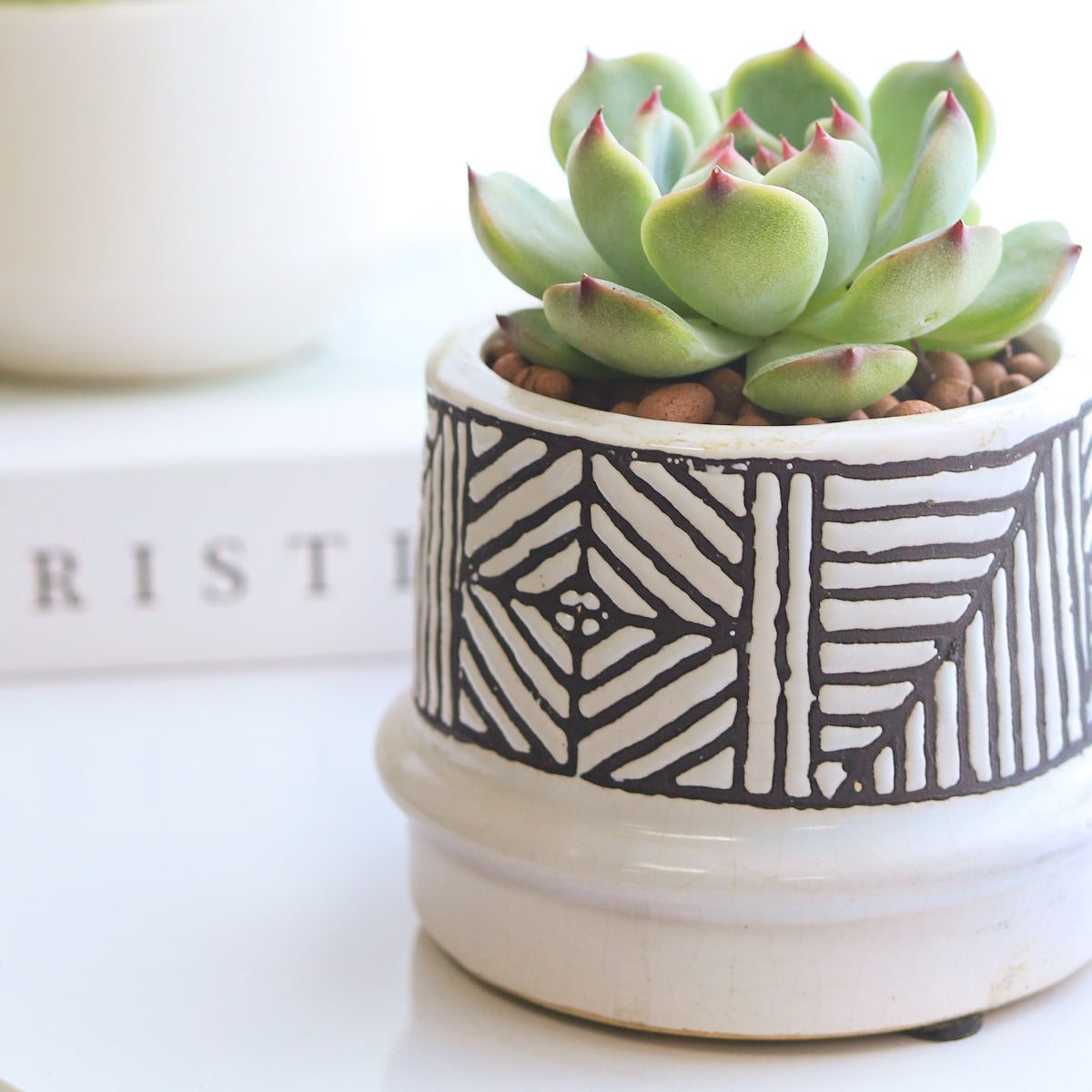 Tribal Pot