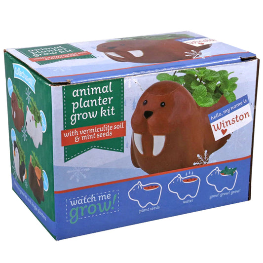 Walruses Pot With Seed Growing Kits